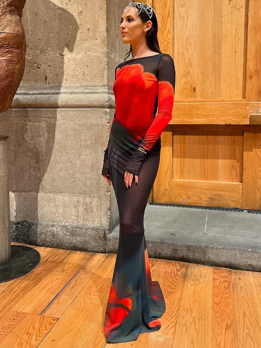 Mesh Sheer Long Sleeve Printed Dress