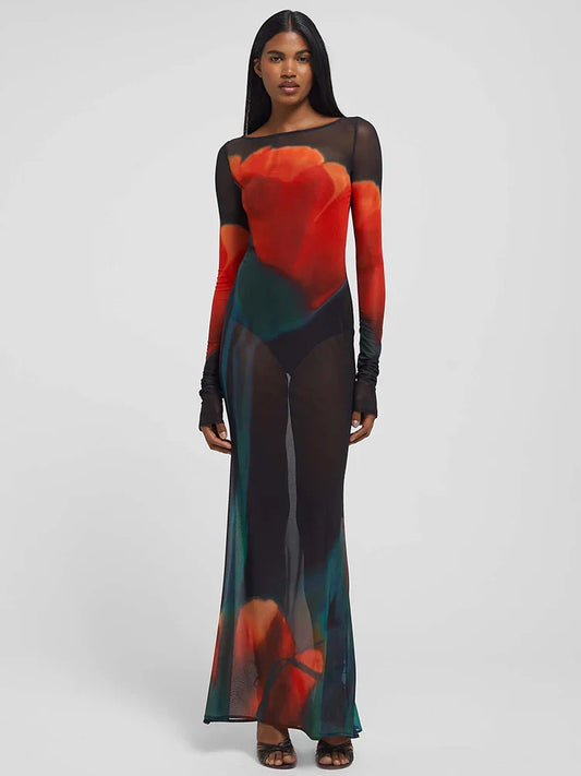 Mesh Sheer Long Sleeve Printed Dress