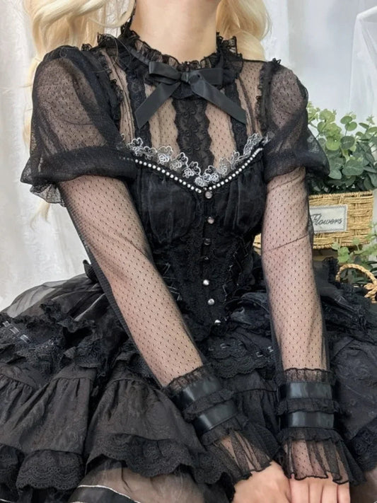 Transparent Embroidered Lace Top Black / S