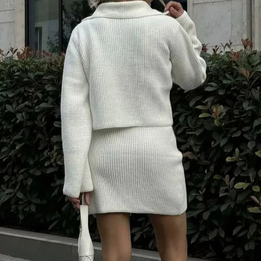 Lapel Cardigan Elastic Waist Mini Skirt Suits