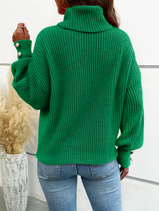 Solid Turtle Neck Pullover Sweater Sweater