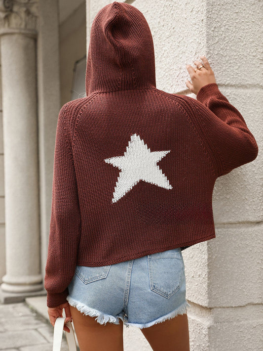 Vintage Star Jacquard Knit Hooded New Long Sleeve Loose Pullovers Autumn Winter Fashion Sweater